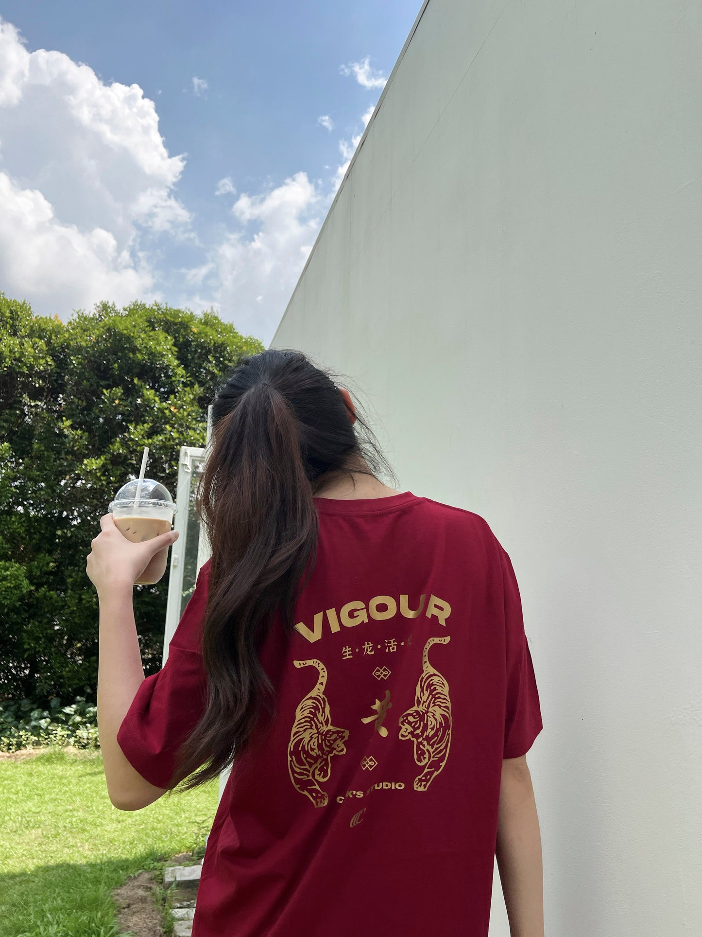 BAI JIA XIN 百家姓' VIGOUR
