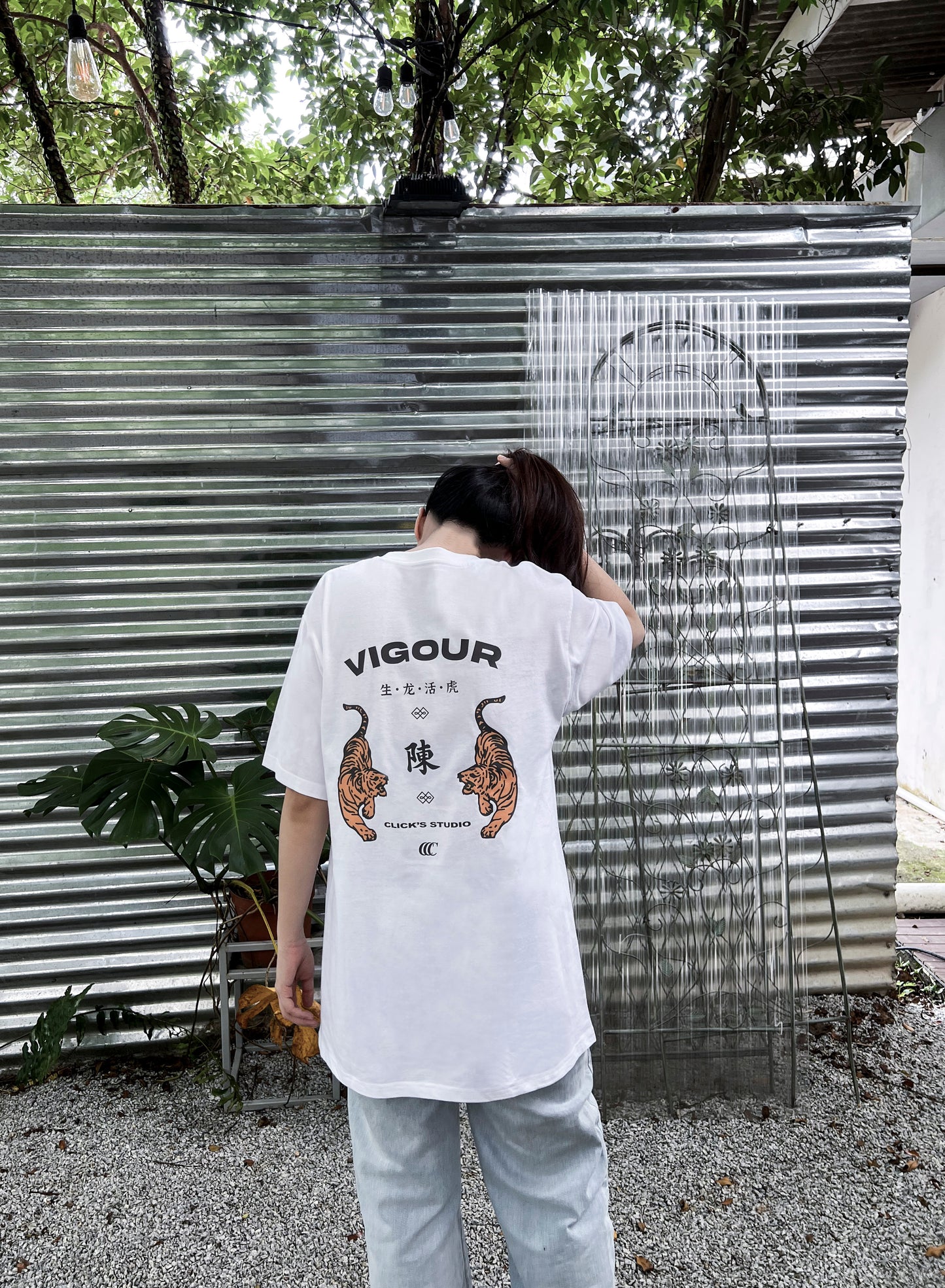 BAI JIA XIN 百家姓' VIGOUR