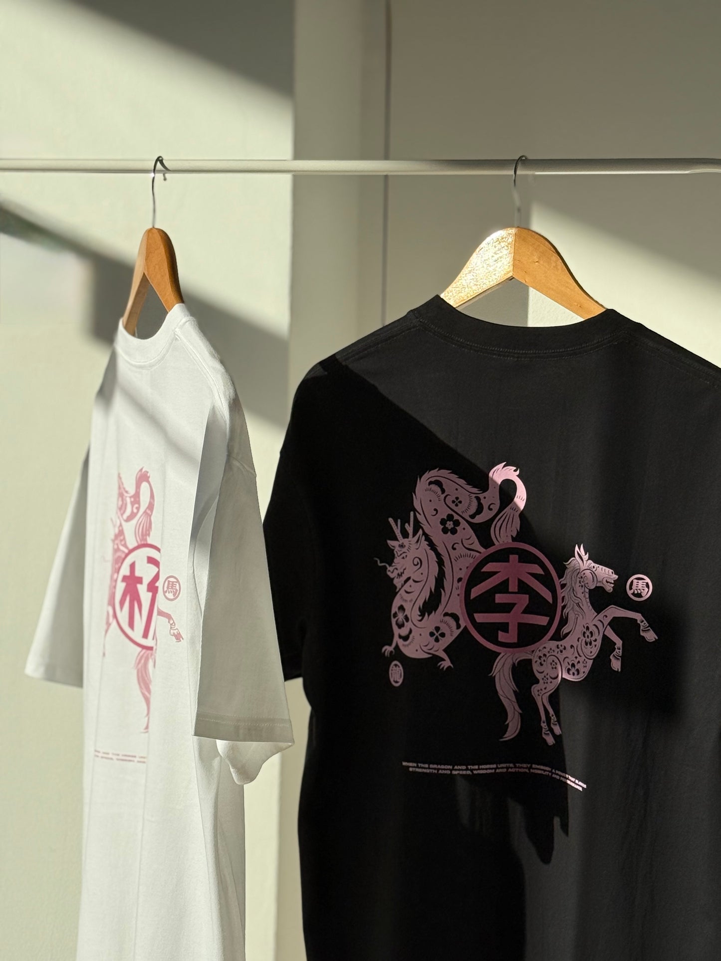 (Oversized)STRENGTH & WISDOM 龙马精神' BAI JIA XIN 百家姓