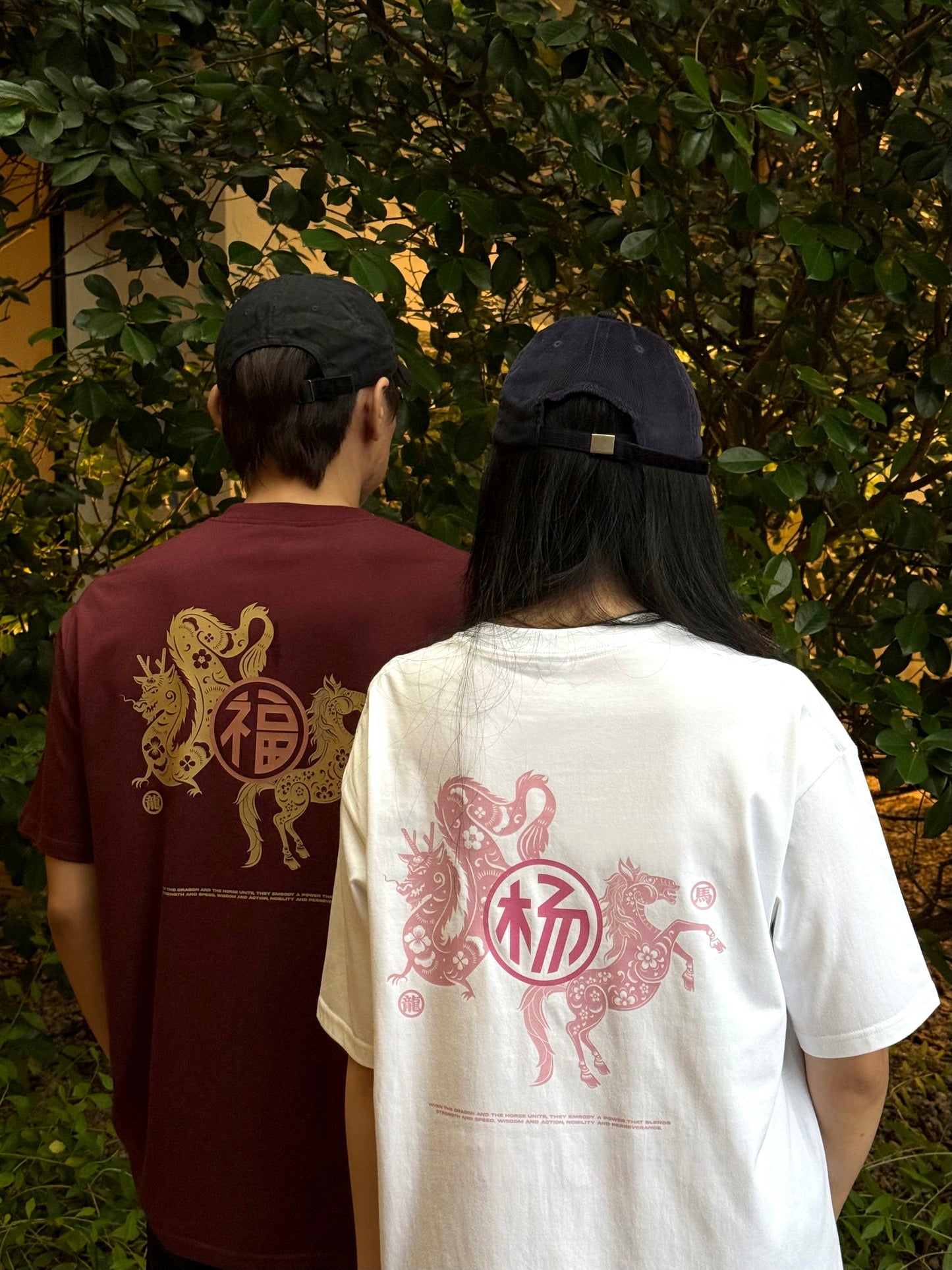 (Oversized)STRENGTH & WISDOM 龙马精神' BAI JIA XIN 百家姓