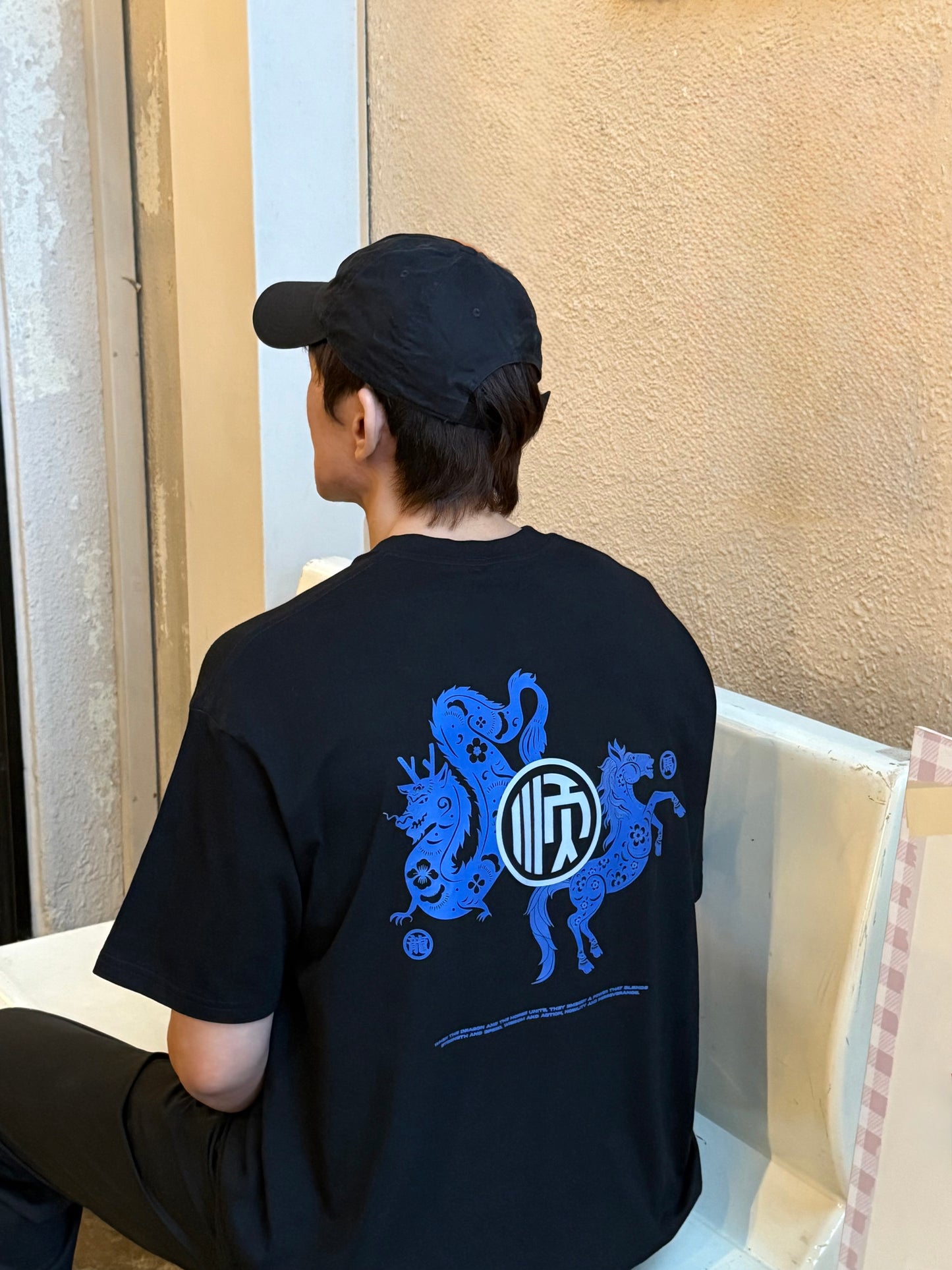 (Oversized)STRENGTH & WISDOM 龙马精神' BAI JIA XIN 百家姓