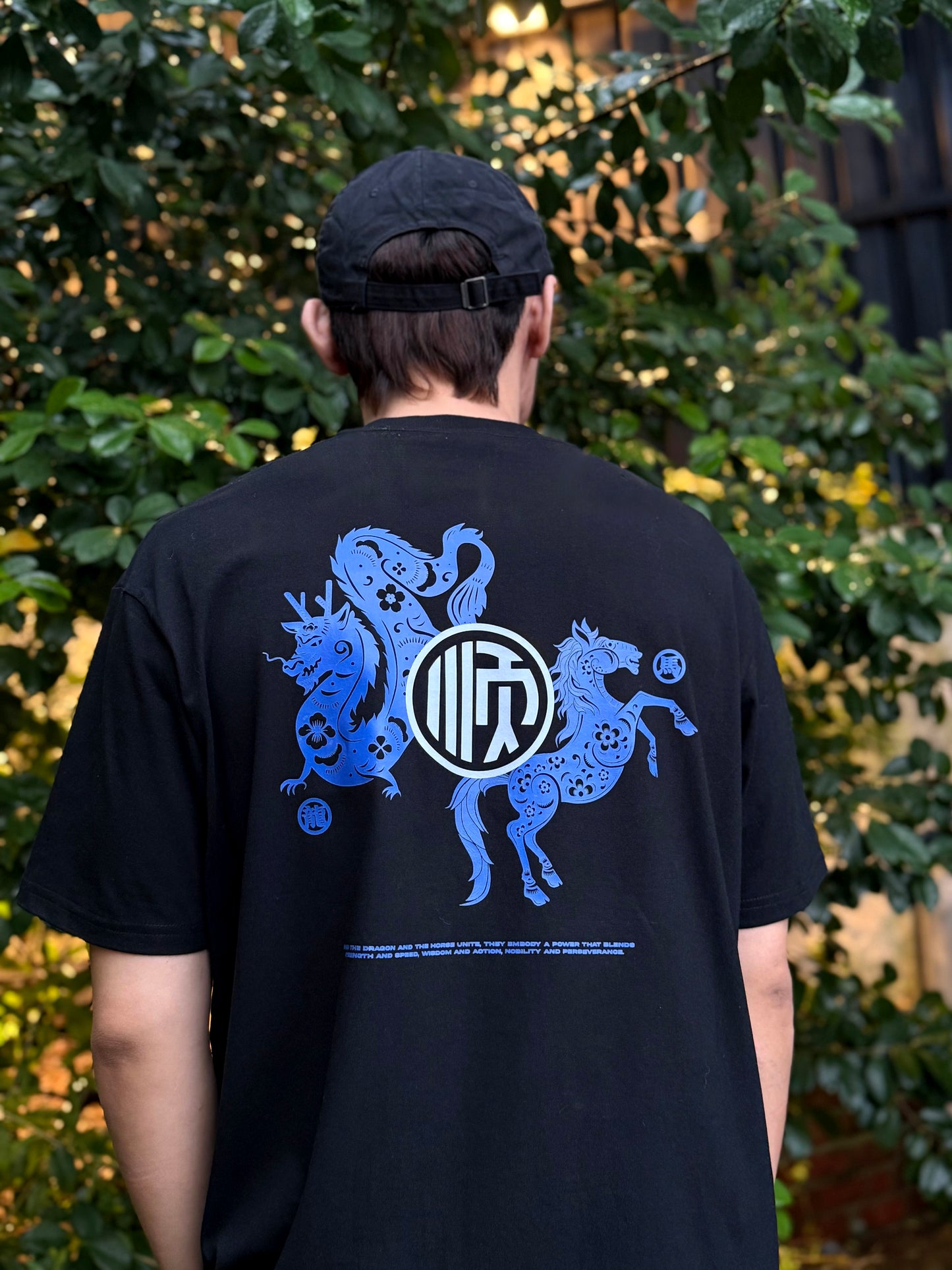 (Oversized)STRENGTH & WISDOM 龙马精神' BAI JIA XIN 百家姓