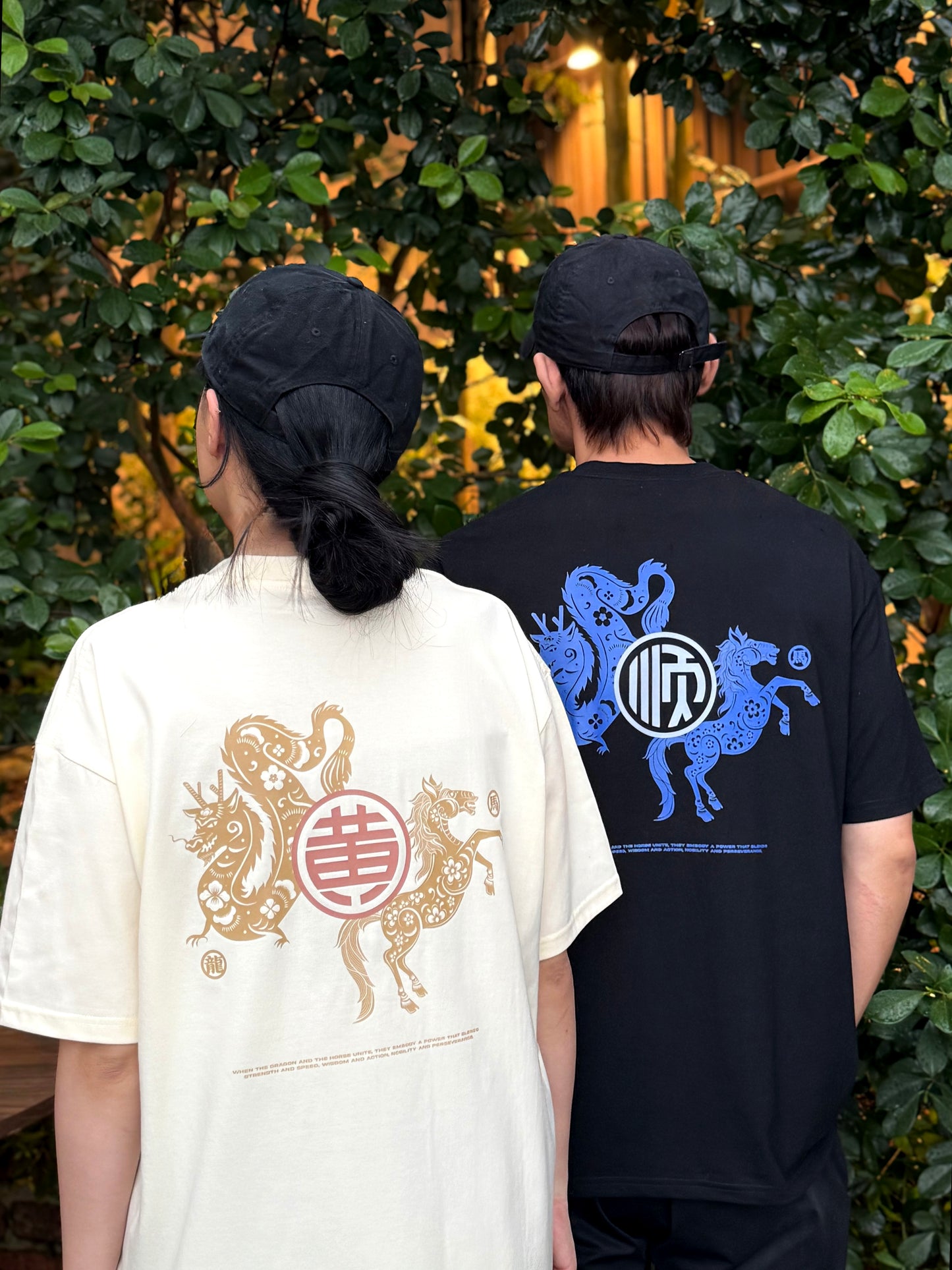 (Oversized)STRENGTH & WISDOM 龙马精神' BAI JIA XIN 百家姓